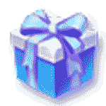 Novice Gift Pack