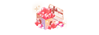 Stamina Supply Pack (Max 1/Day)