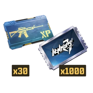 30 WEAPON XP CARDS + 1,000 HONKAI POINTS AS BONUS